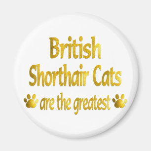Großes britisches Shorthair Magnet