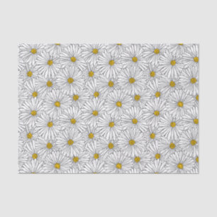 Grosses Daisy 10lb Gewebepapier, weiß Seidenpapier