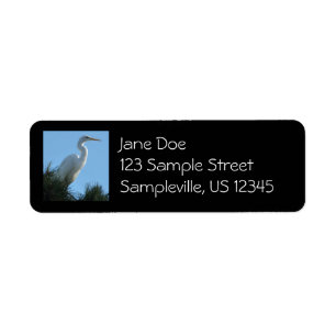 Großes Egret in Sunny Florida