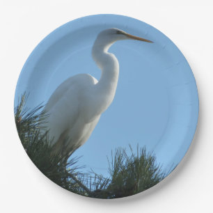 Großes Egret in Sunny Florida Pappteller
