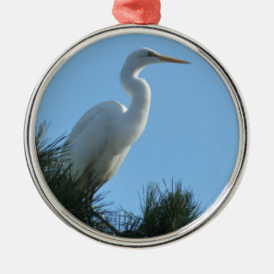 Großes Egret in Sunny Florida Silbernes Ornament