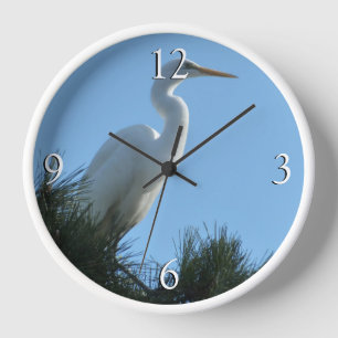 Großes Egret in Sunny Florida Uhr