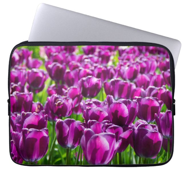 Grosses Feld lila Tulpen Laptopschutzhülle (Vorderseite)