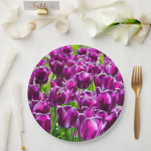 Grosses Feld lila Tulpen Pappteller