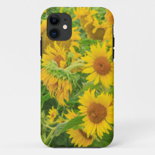 Großes Feld mit Sonnenblumen nahe Moses Lake, WA 2 Case-Mate iPhone Hülle