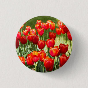 Grosses Feld roter Tulpen Button
