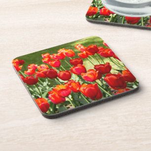 Grosses Feld roter Tulpen Getränkeuntersetzer