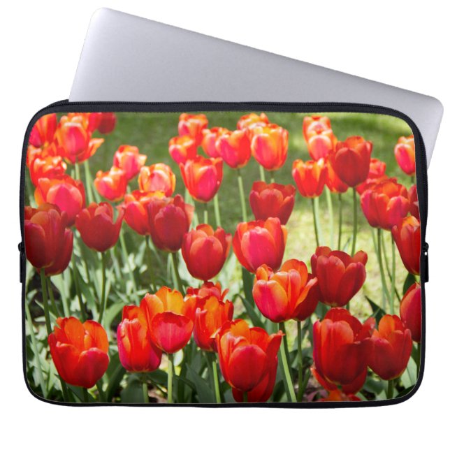 Grosses Feld roter Tulpen Laptopschutzhülle (Vorderseite)