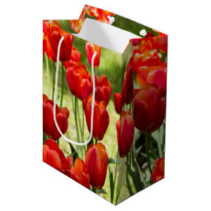 Grosses Feld roter Tulpen Mittlere Geschenktüte