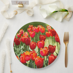 Grosses Feld roter Tulpen Pappteller