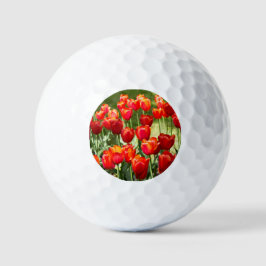 Grosses Feld roter Tulpen-Puppe Golfball