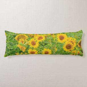 Grosses Feld von Sonnenblumen in der Nähe von Mos Seitenschläferkissen