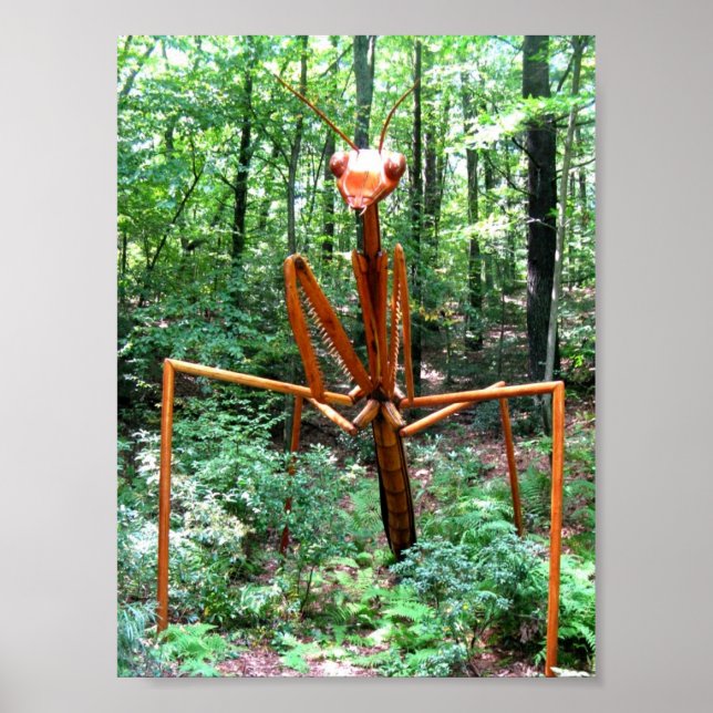 Grosses Gebet-Mantis-Poster Poster (Vorne)