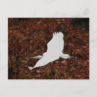 Großes Glück im Flug Postkarte