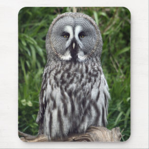 Großes Grau-Eule Mousepad