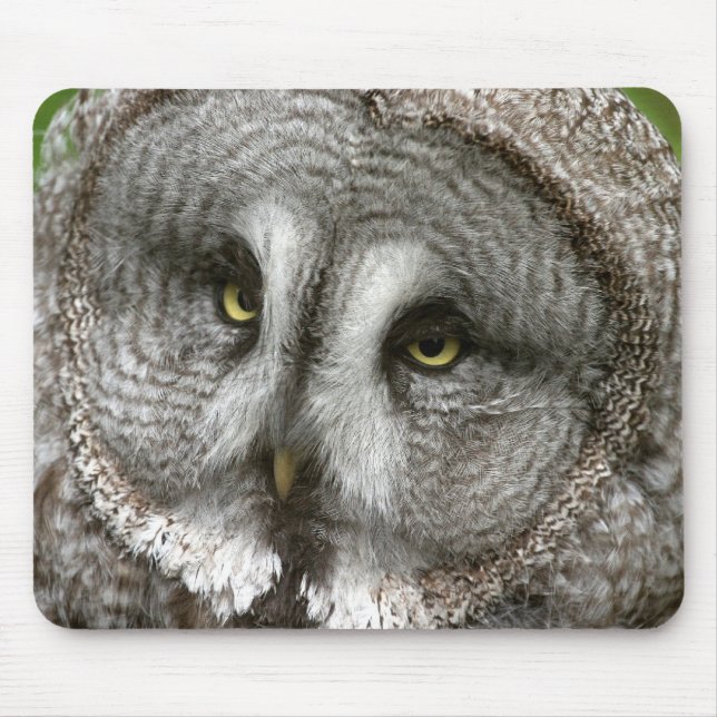 Großes Grau-Eulen-Mausunterlage Mousepad (Vorne)