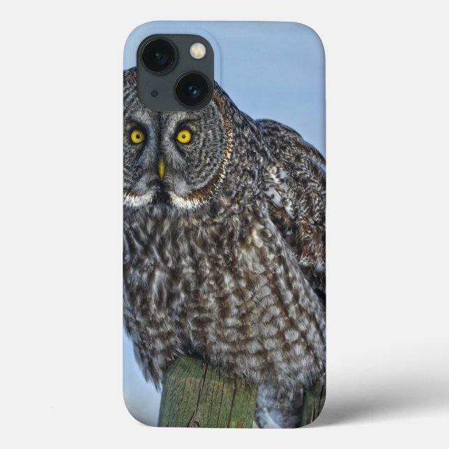 Großes graues Eule auf einem Foto der Wildfauna Case-Mate iPhone Hülle (Rückseite)
