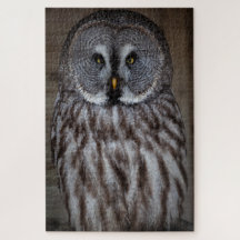 Großes graues Eule Stehend