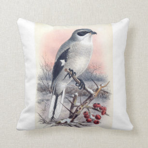 Großes graues shrike Vogel-Kissen Kissen