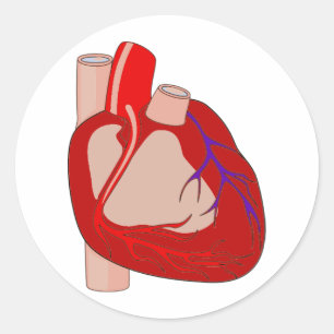 Großes herziges runder aufkleber