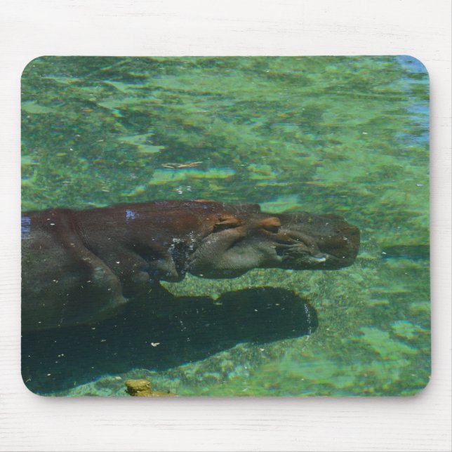 großes Hippo-Schwimmen unter Wasser, Mousepad (Vorne)
