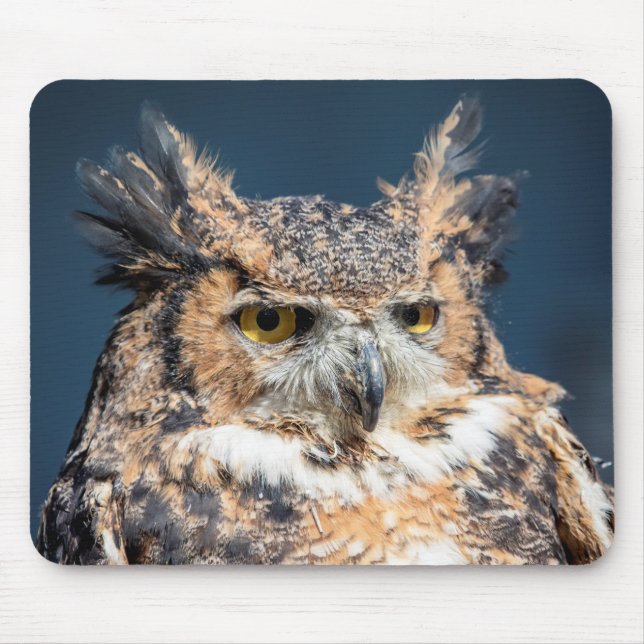 Großes Horned Owl Portrait Mousepad (Vorne)