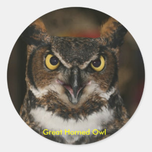 Großes Horned Owl Stickers