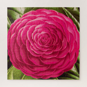 Grosses Kamelien-Blossom, Fuchsienrosa Puzzle