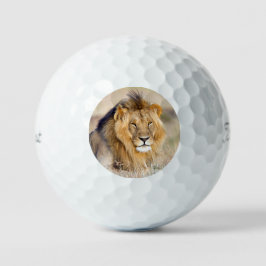 Grosses, majestätisches Foto wild lebender Tiere Golfball