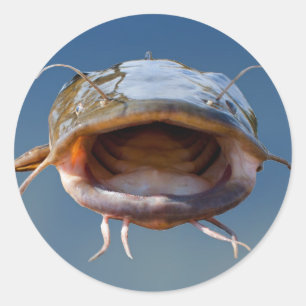 Großes Mund-Fischen Runder Aufkleber