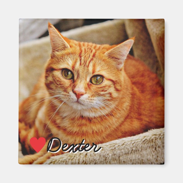 Großes personalisiertes Haustierfoto Magnet (Vorne)