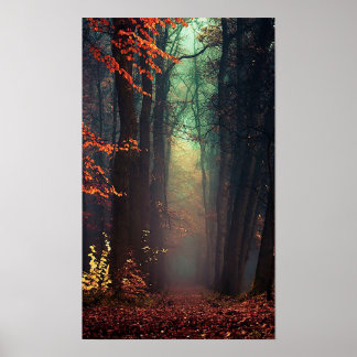 Großes Poster der Natur