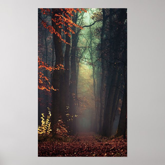 Großes Poster der Natur (Vorne)