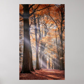 Großes Poster der Natur