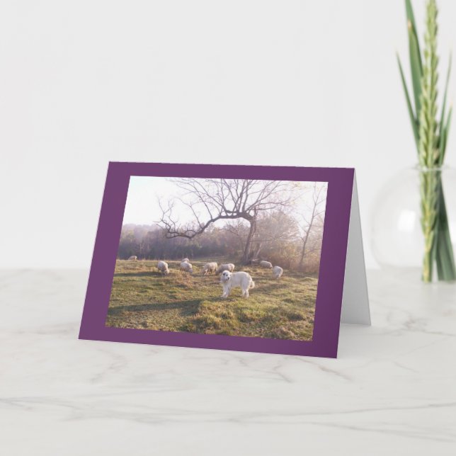 Großes Pyr und Menge Karte (Vorderseite)