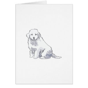 GROSSES PYRENEES PUP