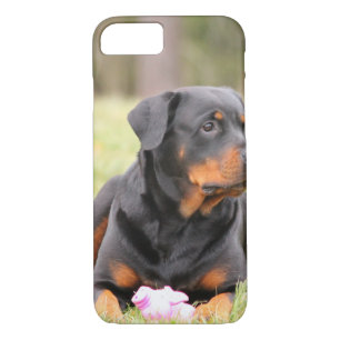 Großes schönes Rottweiler Case-Mate iPhone Hülle