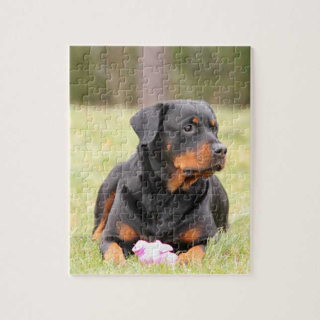 Großes schönes Rottweiler Puzzle (Vertikal)
