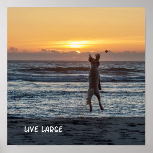 "Großes" Strand-Sonnenuntergang-lebhaftplakat (12" Poster