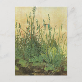 Grosses Stück Turf Postkarte
