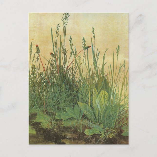 Grosses Stück Turf Postkarte (Vorderseite)