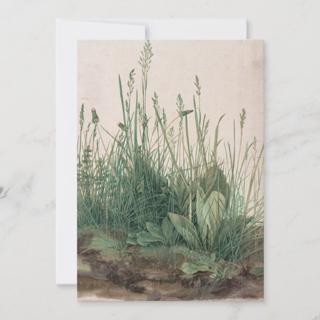 Grosses Stück Turf von Albrecht Durer (Vorderseite)