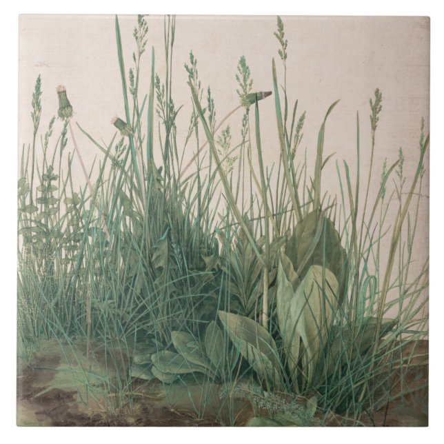 Grosses Stück Turf (von Albrecht Dürer) Fliese (Vorderseite)