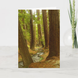 Großes Sur, Kalifornien Karte