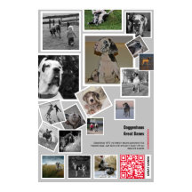 Grosses, trockenes Welpe verkaufen