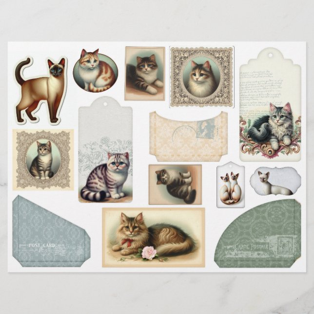 Großes Umschlag plus Hübsche Katzen in Lacy-Rahmen (Vorderseite)