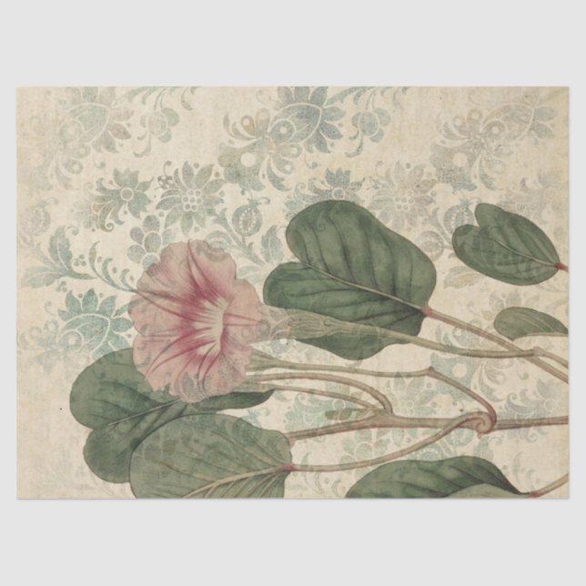 Grosses Vintag rosa Blumendekouver Seidenpapier (Vorderseite)