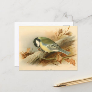 Großes Werk von Lord Lilford, Illustration Postkarte