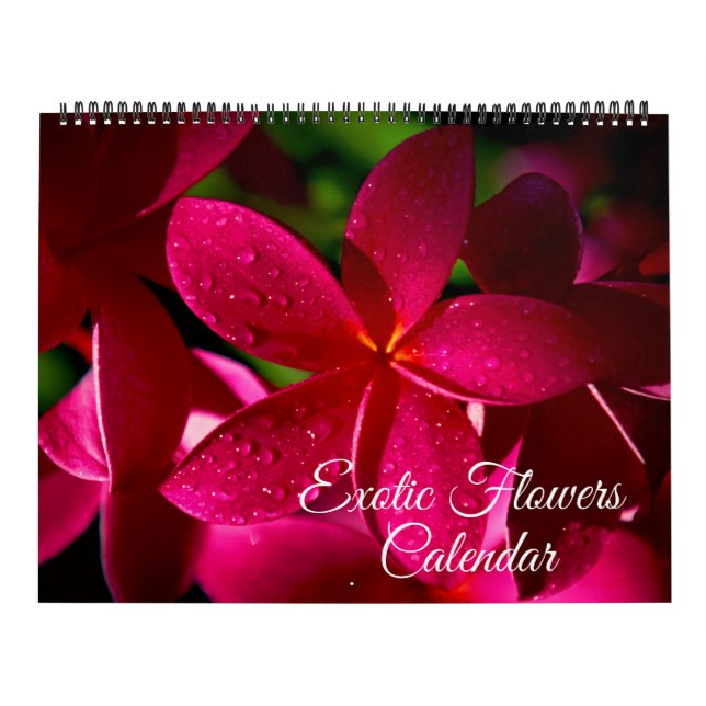 Großformat Exotische Blumen Kalender (Titelbild)