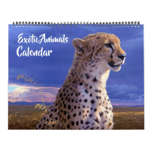 Großformat Exotische Tiere Kalender